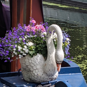 IMG_20190705_072150.jpg